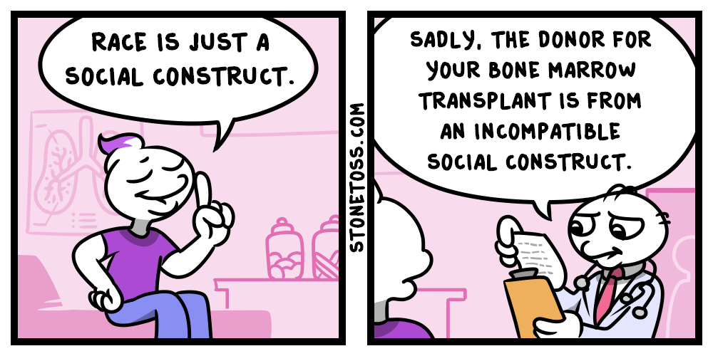 race-is-a-social-construct-stonetoss-comic